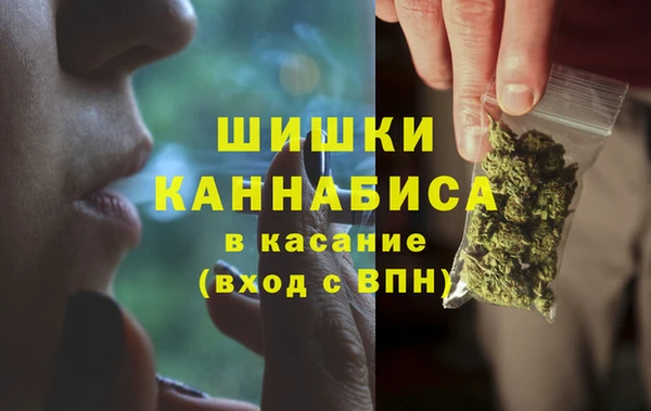 apvp Белокуриха