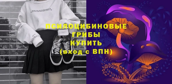 apvp Белокуриха