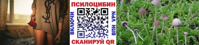 Галлюциногенные грибы Psilocybe  Кяхта 
